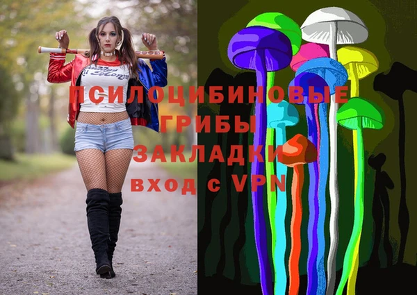 мяу мяу мука Алзамай