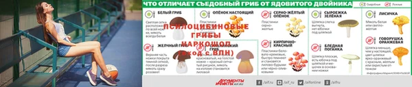 кокаин VHQ Алексеевка